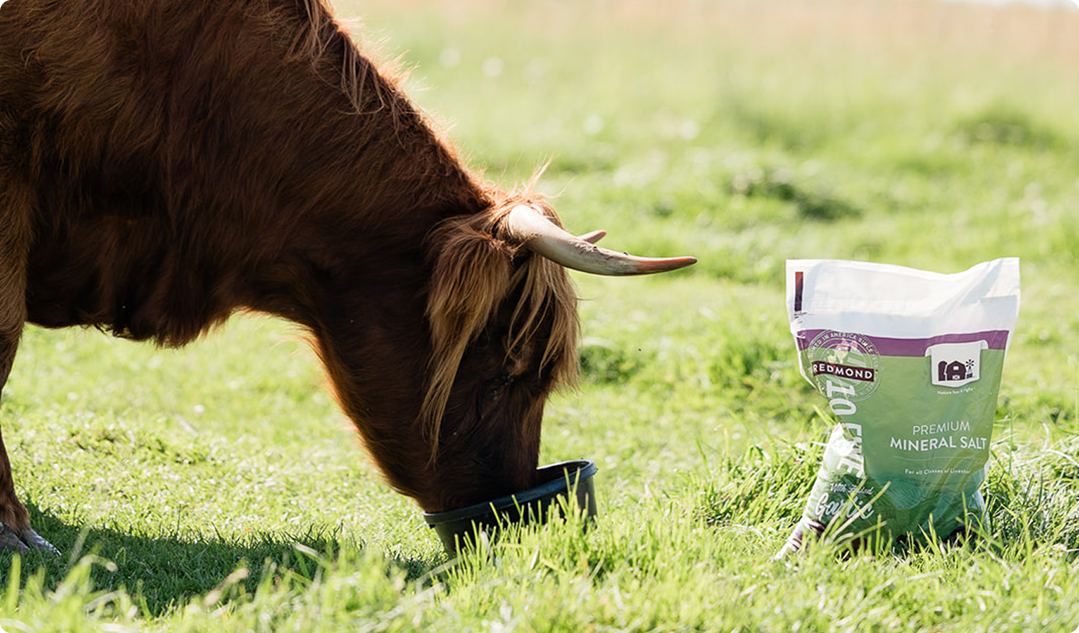 Healthy animals, soil and people